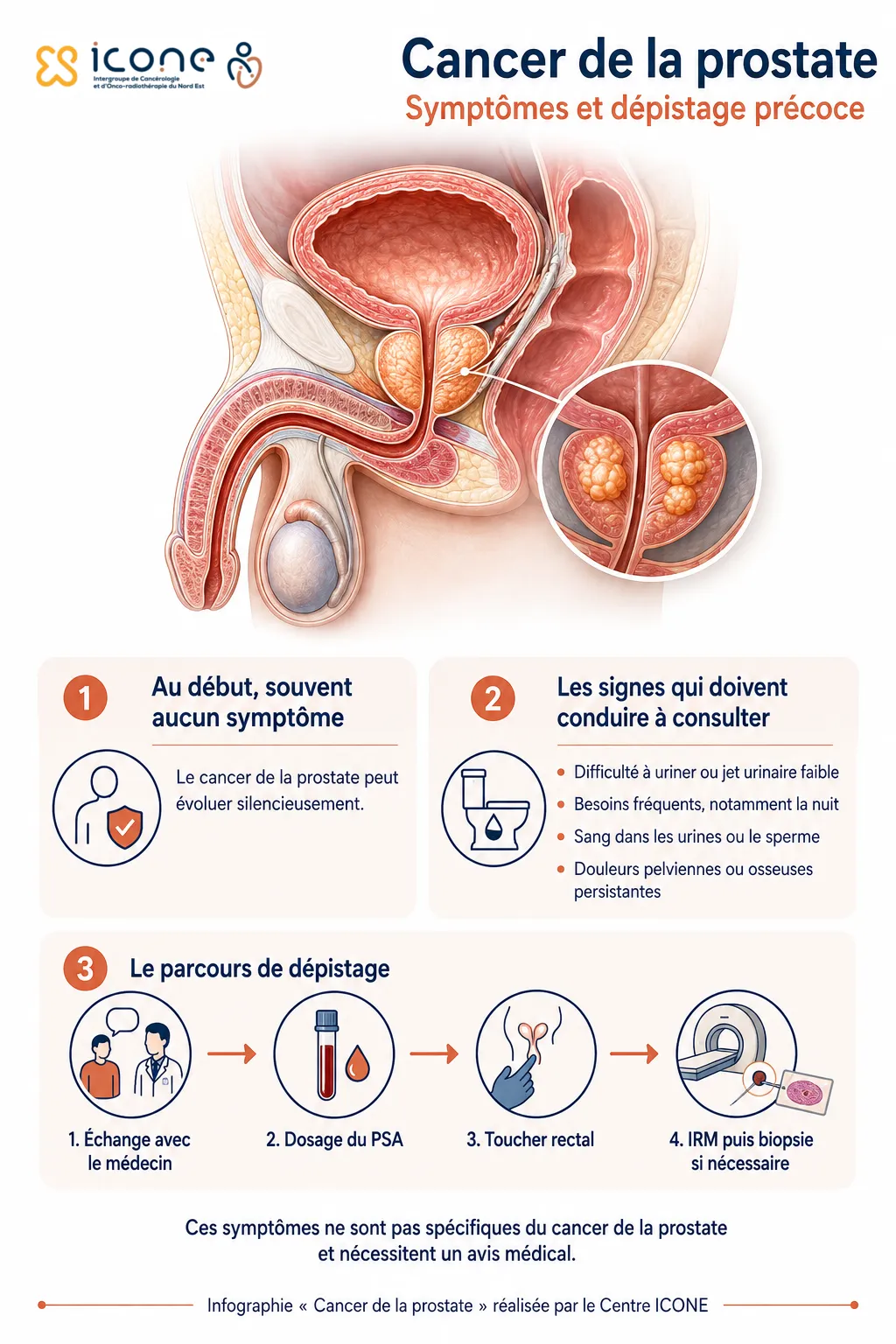 infographie cancer prostate symptomes depistage